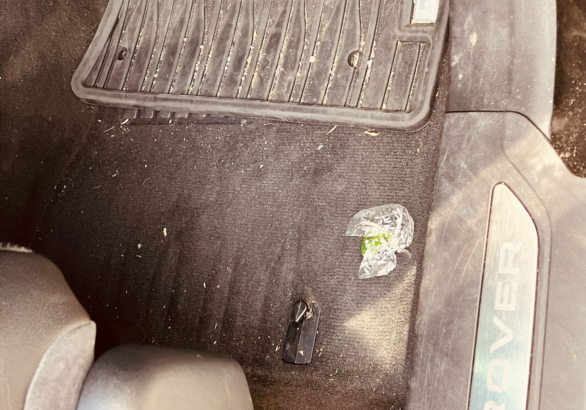 WhatsApp Image 2024-09-25 at 11.56.40