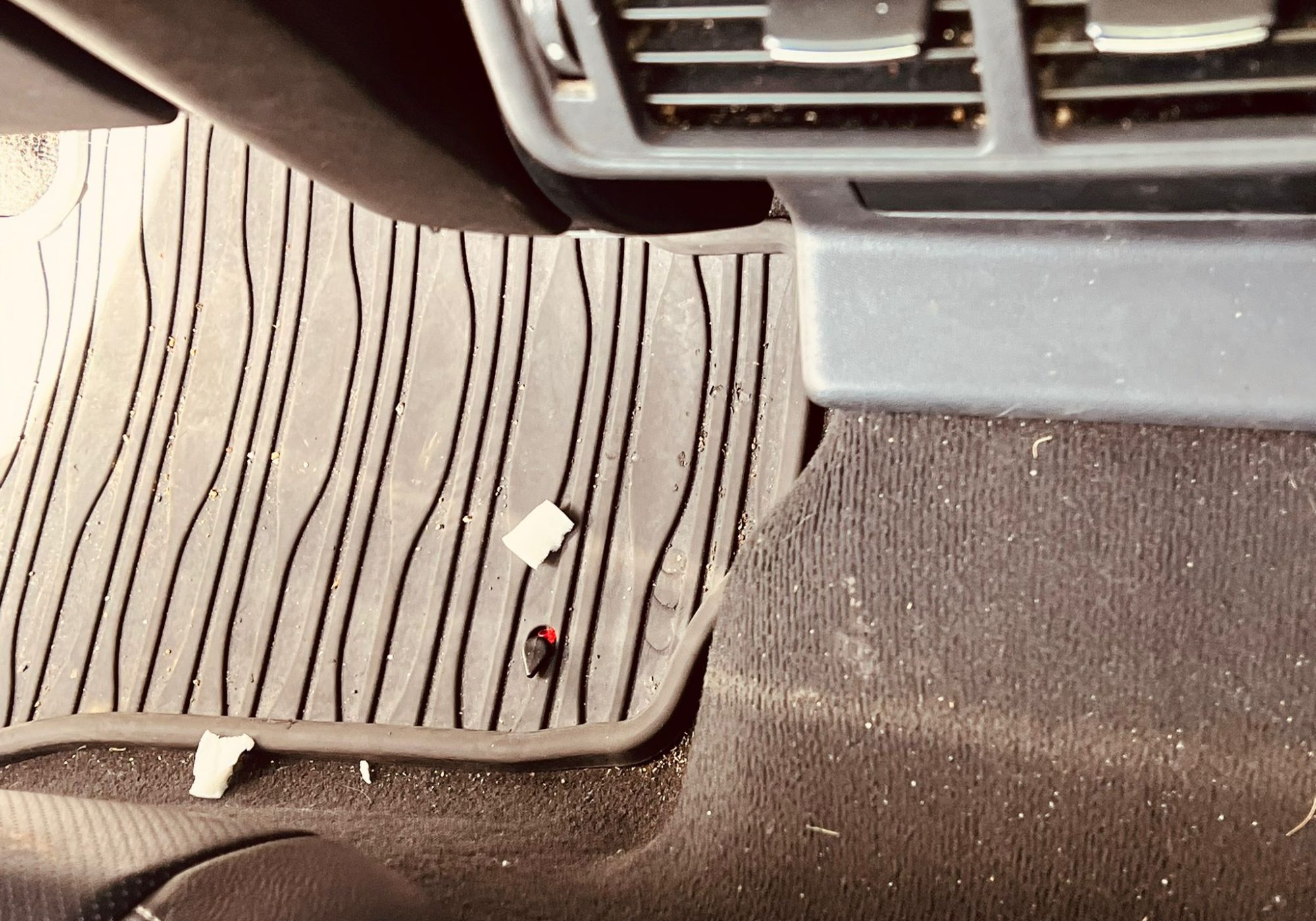 WhatsApp Image 2024-09-25 at 11.56.41 (1)