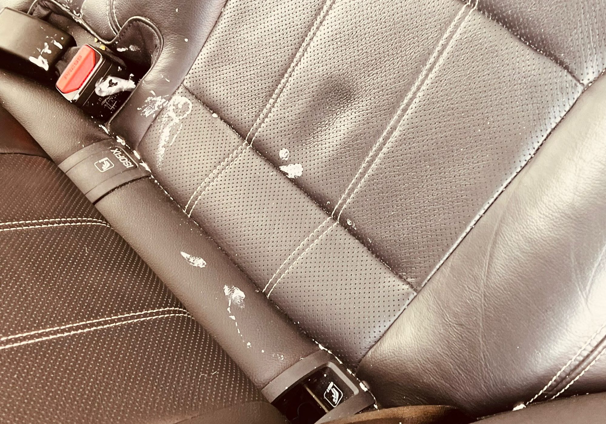 WhatsApp Image 2024-09-25 at 11.56.41 (2)