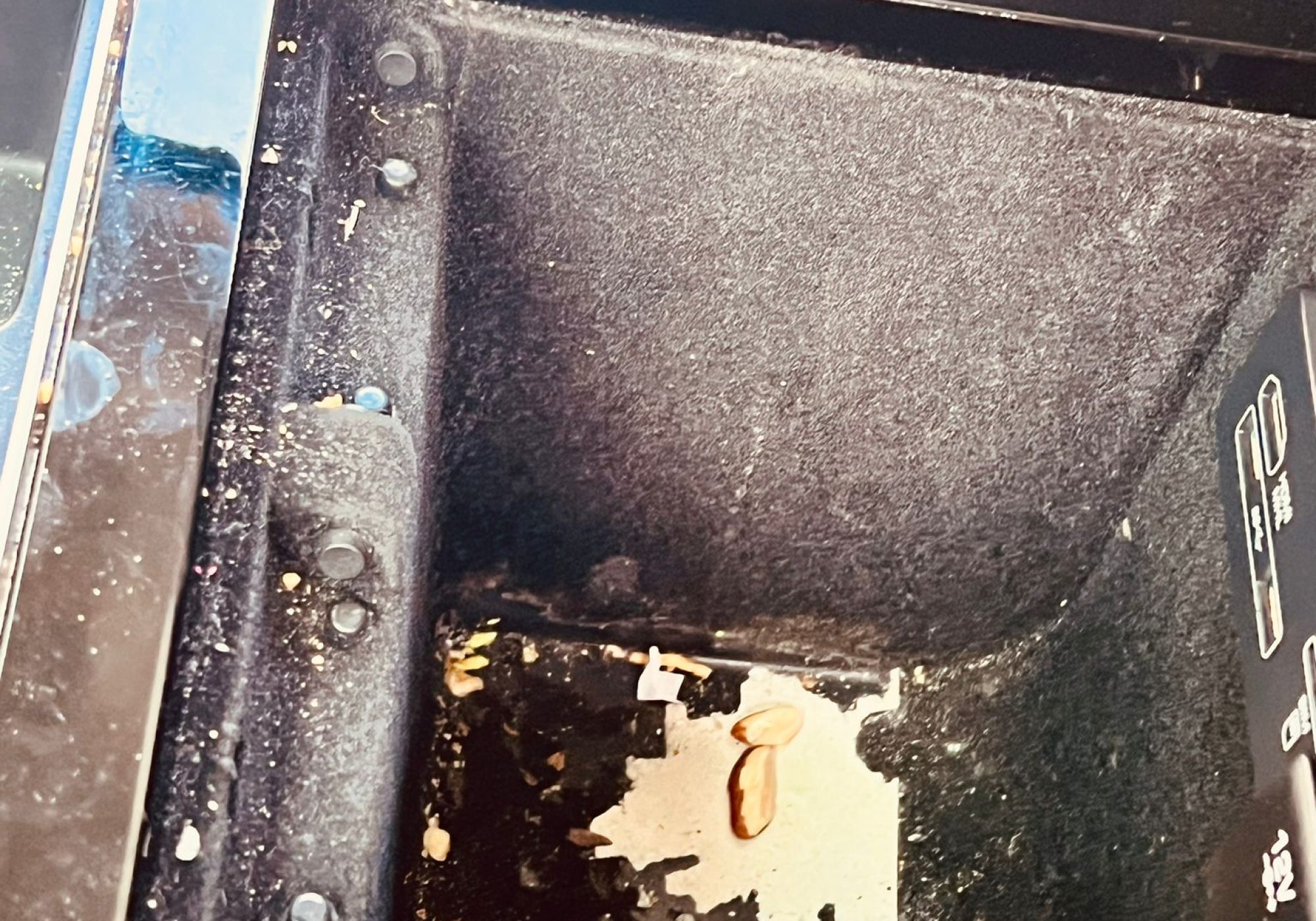 WhatsApp Image 2024-09-25 at 11.56.43 (1)