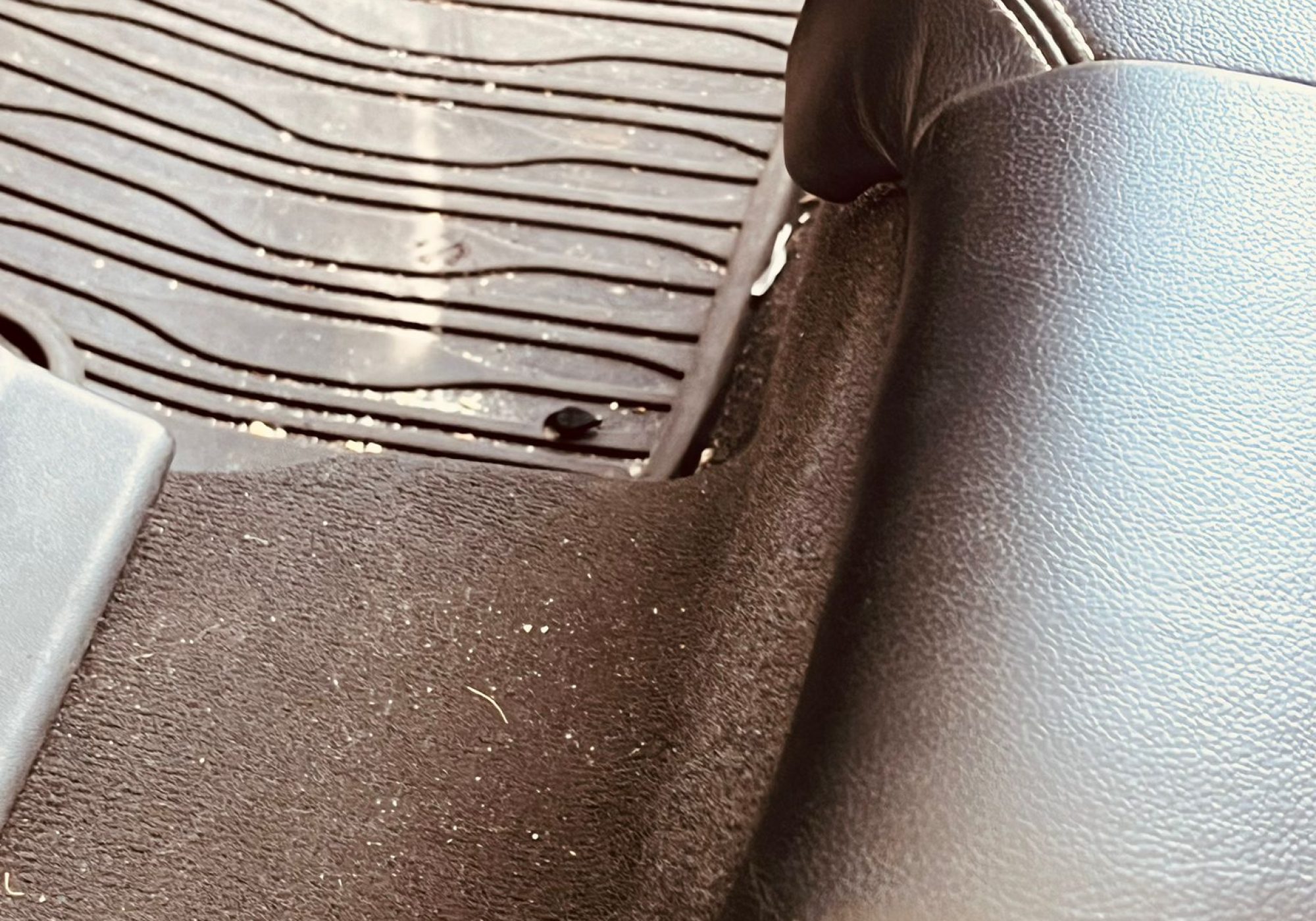 WhatsApp Image 2024-09-25 at 11.56.46 (1)