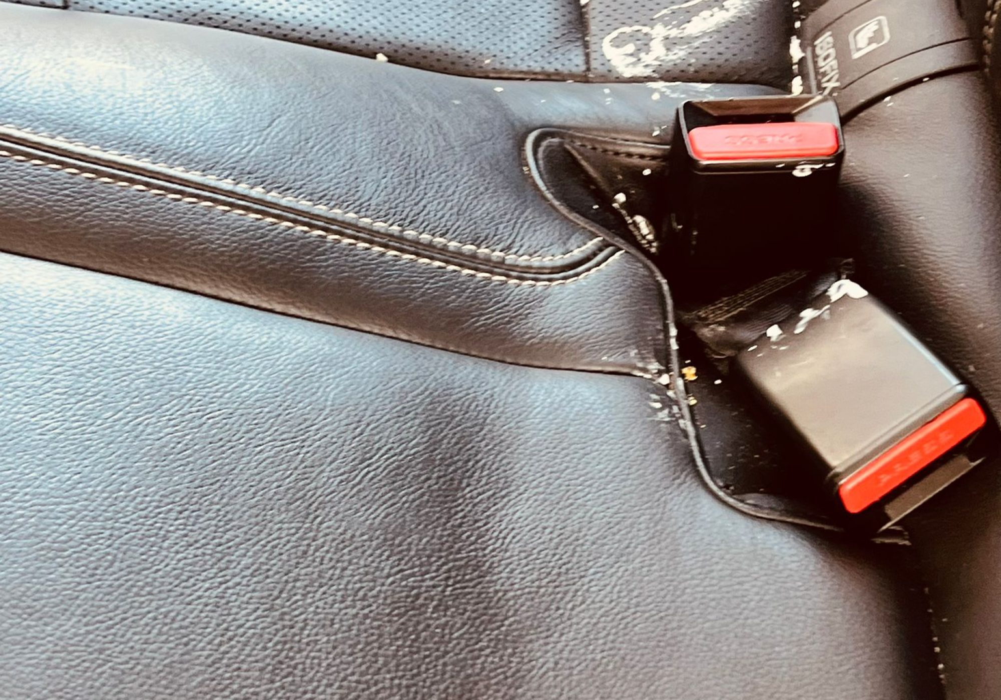 WhatsApp Image 2024-09-25 at 11.56.46 (2)