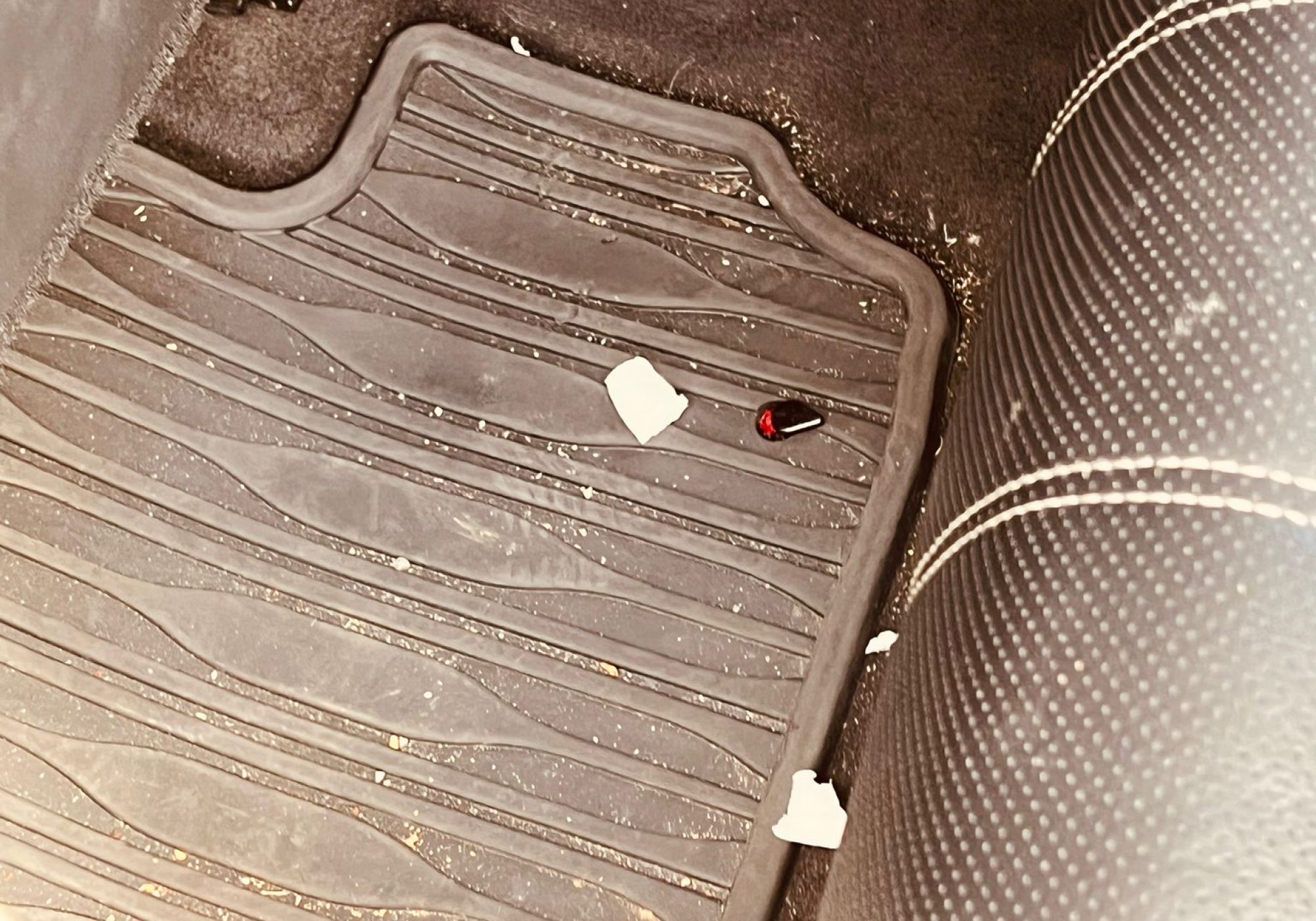 WhatsApp Image 2024-09-25 at 11.56.46