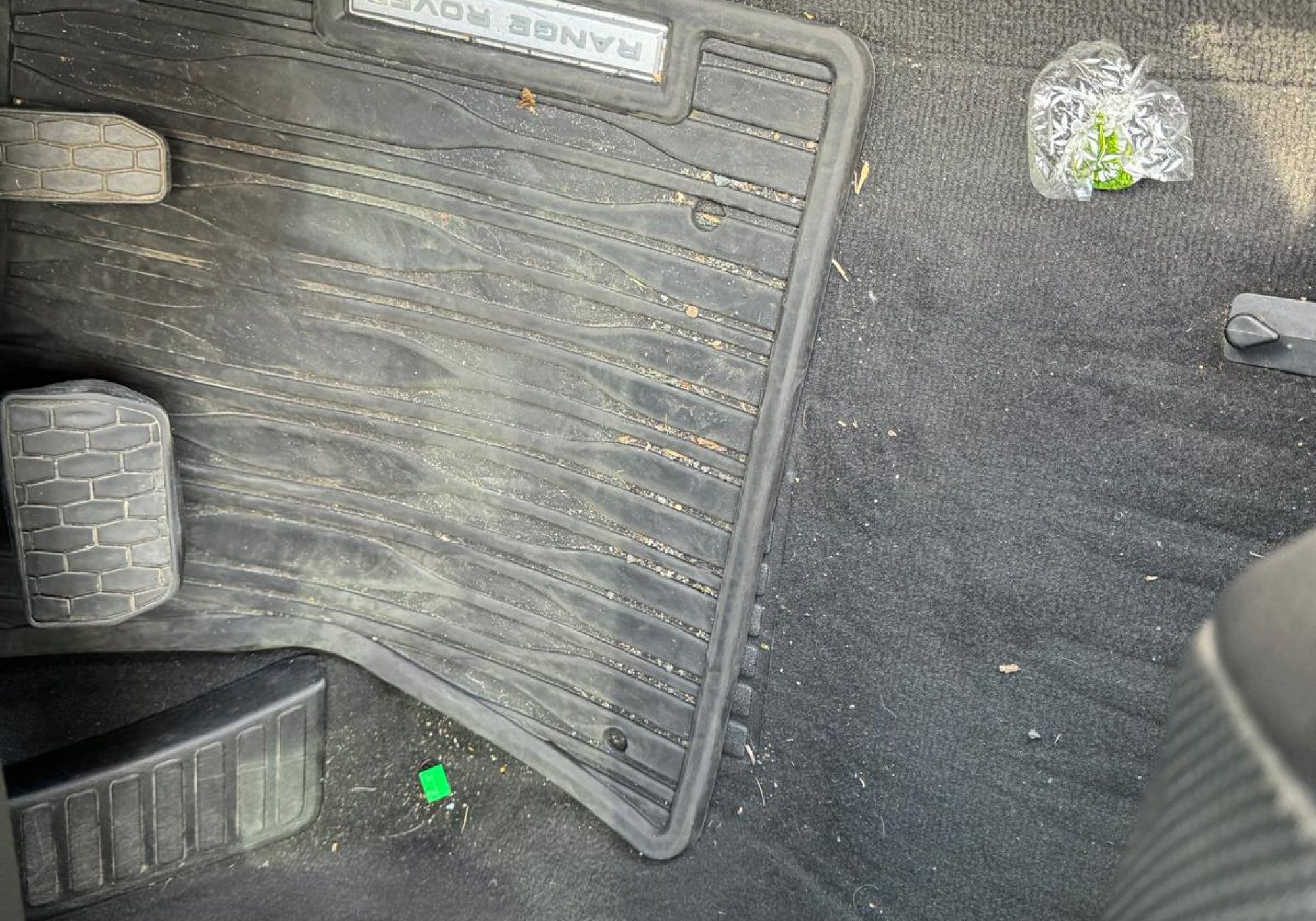 WhatsApp Image 2024-09-25 at 11.58.05 (1)